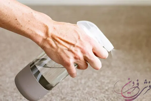 salt-water-carpet-cleaning
