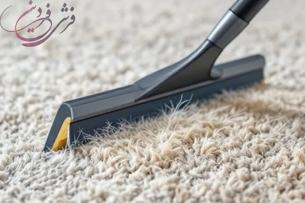 steam-cleaner-carpet-cleaning