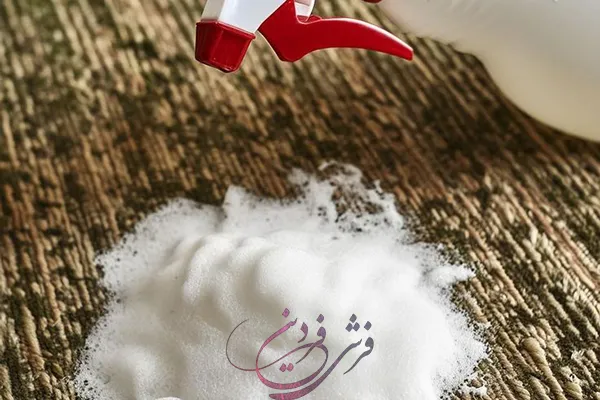 washing-carpet-shampoo