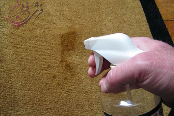 white-vinegar-carpet-cleaning