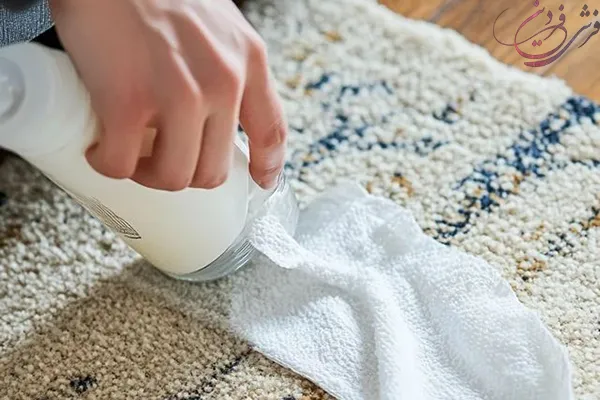 carpet-stain-removal-1000-combs