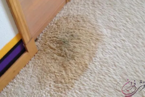 preventing-carpet-yellowing