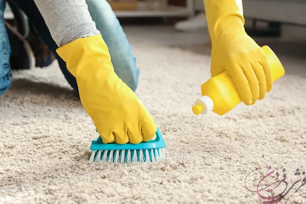 removing-carpet-stains