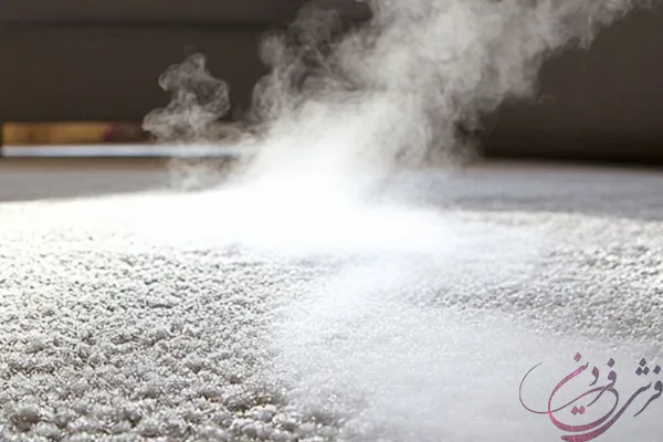 send-carpet-cleaner