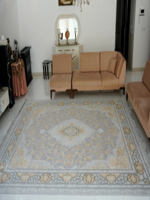 فرش 700 شانه طلاکوب کد 430 فردین