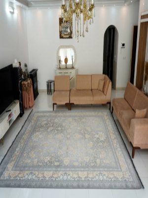 فرش 700 شانه وینتیج کد 485 فردین